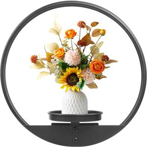 Round Picture Frame Wall Plant Holder Black Wall Hanging Planters Metal Window Plant Shelf Plant Wall Shelf for Indoor Outdoor Garden Flat decoration