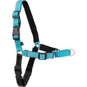 PetSafe Deluxe Easy Walk Harness - Trainer-Trusted Dog Chest Harness with Breathable Martingale Loop Design - Helps Stop Pulling with No Choking & Gagging - Large - Ocean (Large (Pack of 1))