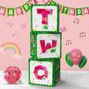 Cartoon Melon 2nd Birthday Balloon Boxes Party Supplies Decorations, 3pcs Watermelon One In A Melon Theme Party Gift Boxes Blocks Decor with TWO Cake Smash Backdrop