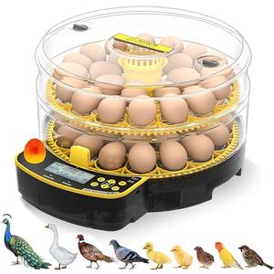 Egg Incubator for Hatching Eggs
