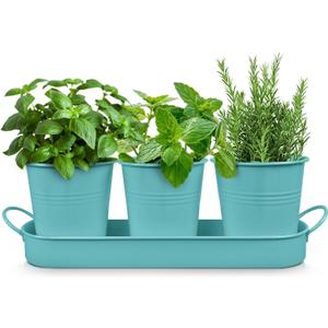 Plexon Herb Planter Indoor Garden Set of 3 with Tray, Metal Herb Pots for Indoor Plants, Round Kitchen Garden Kit Ideal for Windowsill Planter or Countertop, Tiffany Blue Powder Coated