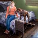 Pet Gear Free Standing Pet Ramp for Cats and Dogs, No Assembly Required, Easy Fold for Storage or Travel, Portable, Espresso