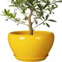 Ceramic Planter for Indoor Plants - 13 Inch Mid-Century Decorative Modern Large Plant Pot with Drainage Hole and Saucer, Home Balcony House Garden Patio Room Office Decor, Yellow