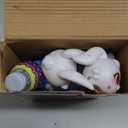 Easter Bunny Bubble Gun for Toddlers: 2-Pack Bubble Guns for Kids 4-8 | Bubble Machine Gun for Toddlers 1-3 | Bubble Blaster with Refill Solution | Outdoor Toys Gifts for Easter Basket Stuffers