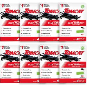 Tomcat Super Hold Glue Traps Mouse Size, 8-Pack (32 Glue Traps)