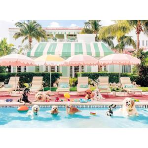 Jigsaw Puzzles 500 Pieces for Adults Puppy Swimming Pool Challenging Jigsaw Puzzle Animal Puzzles Difficult Puzzle Great Gift for Boys and Girls Family Fun Jigsaw Puzzle Game Toy 20.5x15inch