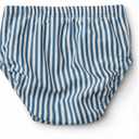 Baby Toddler Boy Swim Diaper Washable Waterproof Reusable Swim Pant Organic Seersucker Blue Stripe Swimsuit 2-3T UPF50
