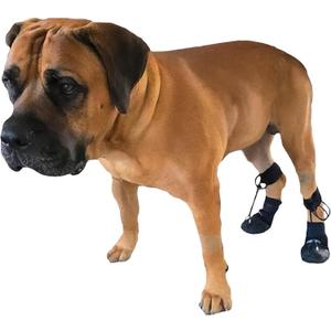 Toe'sUP WAlkaboot No Knuckle Boot/ Prevent dragging Paws Ideal for Pets with Neurological Disorders Causing Front paw knuckling and dragging. (Small 1.5-2" paw Width)