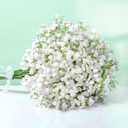 Babys Breath Artificial Flowers, 7Pcs White Baby Breath Flowers Artificial Bulk, Real Touch Faux Babys Breath, Fake Babies Breath Gypsophila for Wedding Floral Arrangement Party Home Decor