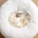 Small Cat Beds for Indoor Cats, Extra Small Dog Bed for Puppy, Washable 16 Inches Pet Bed (Up to 5lbs)