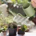 Watering Can Indoor Plants, 35 oz/1000 ml Metal Stainless Steel Watering Can Pot with Long Spout for Indoor House Plants Bonsai Outdoor Garden Flower Decorative (Sage Green)