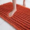 FLOLEOPA Soft Plush Microfiber Bathroom Rugs, Absorbent Bath Rugs Non Skid Machine Wash Dry Bath Mats for Tub,Shower and Bath Room Floor Mats(Burnt Orange,17x24 inches)