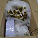 350 Piece Gold Dinnerware Set,100 Plastic Plates, 50 Cups,50 Pre Rolled Napkins with Plastic Silverware, Disposable Gold Dinnerware Set for 50 Guest