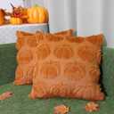Windletgo Autumn Pumpkin Pillow Covers 18x18 Set of 2 Fall Thanksgiving Halloween Decorations Indoor Throw Pillow Case Soft Plush Faux Wool Cushion for Couch Sofa Bed Living Room (Caramel)