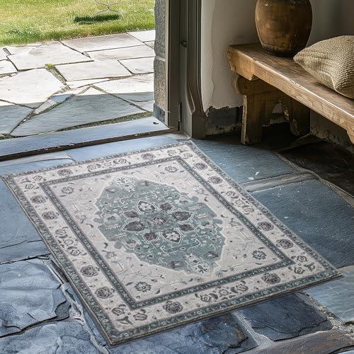 EVERGRACE Faux Wool Area Rugs 2'x 3' Boho Medallion Rugs for Living Room Indoor Outdoor Rugs for Bedroom Dining Room Entryway Kitchen Low Pile Washable Floor Mat Carpet, Steel Gray 2 PACK