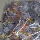 Ceaco - Frenchie's at Play - 1000 Oversized Piece Jigsaw Puzzle