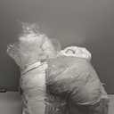 JOLLYVOGUE King Size Pillows Set of 4 for Sleeping, Soft and Supportive Bed Pillows with Down Alternative Filling for Side and Back Sleepers, Hotel Collection (White)