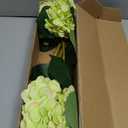 Kimura's Cabin 6pcs Silk Hydrangea Artificial Flowers Fake Hydrangeas Flower with Stems Faux Hydrangea Bouquets for Wedding Party Arrangements Home Table Centerpieces Decoration (Lime Green)