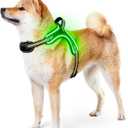 Light Up Dog Harness Rechargeable No Pull Rainproof Dog Vest with Handle for Night Walking, Lighted Dog Harness for Small Medium Large Dogs (Green, M)