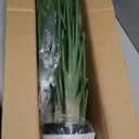 Artificial Bird of Paradise - Fake Plants Indoor Faux Tropical Palm Potted Dypsis Lutescens for Home Office Decor Housewarming