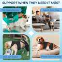 Dog Knee Brace for Hind Leg Support Dog Leg Brace with Metal Stabilizers for Dogs with Torn ACL, Luxating Patella, Ligament Injuries & Hip Dysplasia, Limping or Osteoarthritis Recovery,4XS