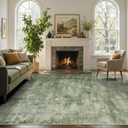 8x10 Ft Large Area Rugs for Living Room, Soft Non-Slip Washable Rugs Modern Abstract Pattern Carpet for Bedroom Indoor Floor Nursery Home Decor (Green)