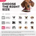 Inflatable Dog Cone Collar with Detachable Sturdy Shield,Soft&Lightweight-Ideal for Post-Surgery Recovery and Daily Wear,Suitable for Small Medium Large Dog Breeds(Donut Pink,XL)