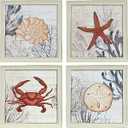 AVA Barrett 16 x 16-Inch Coral Print Framed Print, Multi-Colour, 4 Panel
