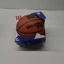 WILSON NBA Forge Series Indoor/Outdoor Basketballs (Size 7 - 29.5", Brown)