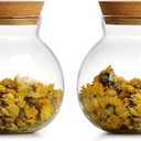 17oz Spherical Glass Jar with Cork Lid Airtight - Kitchen Glass Jar for Preserving and Storing candy, tea, Coffee, Spice, flour, Beans etc (2)