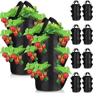 EBOOT 10 Pcs Strawberry Grow Bags 3 Gallon Strawberry Planter Breathable Non Woven Fabric Growing Containers with 8 Side Grow Pockets for Outdoor Indoor Garden Flowers Herbs Potato Planting Pots