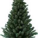 Kurt Adler 12 Miniature Pine Tree