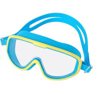 Unisex Swimming Goggles With a Hard Case for Men and Women Anti-Fog No Leak Mirror/Non-Mirror Lens