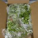 4PCS Artificial Long Greenery Stems 36.22" Faux Bamboo with Flowers Spring Plants Fake Leaves Branches for Summer Garden Shop Hotel Office Home Table Tall Vase Bouquet Accessories Dcor