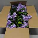 Lunmon 2 Pack 3ft Artificial Hydrangea Tree Faux Hydrangea Plant Indoor Outdoor Fake Flower Tree with Cement Base Pot Real to Touch Plant Decoration for Home Garden Housewarming Wedding(Purple,3ft)