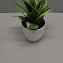 Hollyone Artificial Snake Plants 9" Faux Agave Succulent Plant Potted in White Pot Fake Sansevieria Aloe Tropical Plant for Desk Modern Office Home Bathroom Indoor Outdoor Decor