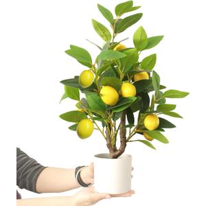 Artificial Potted Plant, 18 Indoor Fake Lemon Tree Greenery with White Pot Faux Green Plants Lemon Citrus Branches Stems for Kitchen Office Living Room Table Desk Home Decor