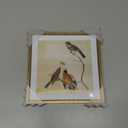 6x6 Picture Frame, Brass Metal Photo Frames with HD Glass, Fits 5x5 with Mat or 6 x 6 without Mat, Display for Wall and Table, 1 Pack