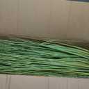 VEVOR Artificial Grass Plant, 2 Pack 35 inch Cattail Grass in Pot, Premium PVC Faux Fake Greenery Shrubs Plant for Indoor Outdoor House Home Garden Office Room Décor, Housewarming, Green