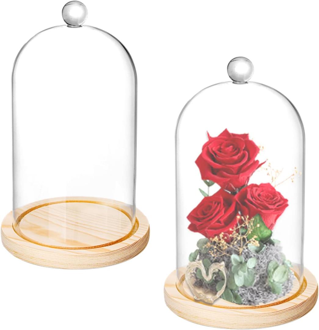 Lyellfe 2 Pack Cloche Glass Dome, 8'' x 5'' Dome Cloche with Rustic Wooden Base, Glass Cloche Bell Jar Display for Plants, Fairy Lights or Table Decor