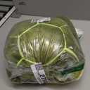 Protective Gear for Skiing Skating Snowboarding Cute Turtle Tortoise Cushion Green (Large-20.5inch)