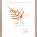 kennethan 11x14 Picture Frame Gray Set of 5, Wooden Poster Frame for Wall Mounting Display for Home, Office,Gallery,Holiday with Photos, Posters, Puzzles