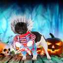 Deadly Dog Halloween Costumes for Small Medium Large Dogs, Cat Puppies, Funny Dog Costume Cosplay Clothes Outfit for Party Christmas Events Photo Props Halloween Decorations