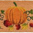 Calloway Mills 121981729 Nature's Bounty Doormat, 17" x 29", Multicolor | Outdoor Coir, Non Slip Vinyl Backing,Fall Front Door Mat,