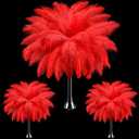 Maitys 90 Pcs Large Natural Ostrich Feathers Bulk 14-16 Inch (35-40cm) 12-14 Inch (30-35cm) 10-12 (25-30cm) Ostrich Feathers Plumes for Centerpieces Wedding (Red)