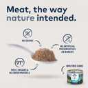 ZIWI Peak Canned Wet Dog Food All Natural, High Protein, Grain Free, Limited Ingredient, with Superfoods (Mackerel & Lamb, Case of 12, 6oz Cans) (EXP 07/10/27)