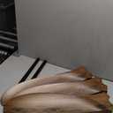 52-inch ABS Ceiling Fans Remote Control No Lights, 3 Blades, Quiet Ceiling Fan for living room, bedroom, office, dining room, patio, farmhouse(Black body+Dark Walnut)