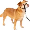 PetSafe Gentle Leader Headcollar No-Pull Dog Collar - Helps Improve Walks - Durable Nylon Construction - Padded Nose Loop - Adjustable Fit - Comfort Walking Halter - Petite, Black