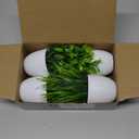 Der Rose 4 Pack Fake Plants Small Artificial Plants in Pots Faux Plants Indoor for Home Kitchen Table Bathroom Decor Accessories (White)