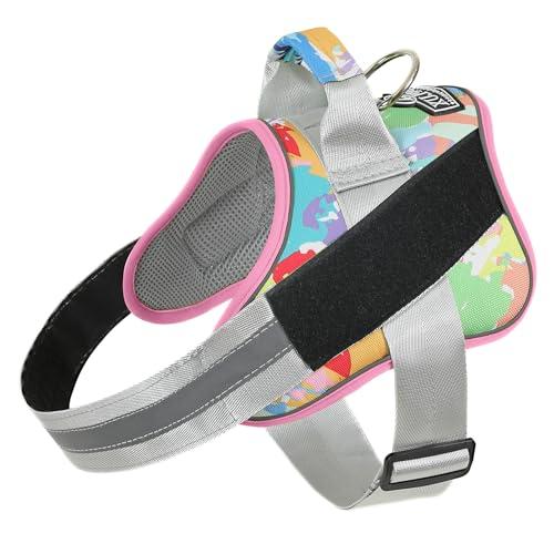Bolux Dog Harness, No-Pull Reflective Dog Vest, Breathable Adjustable Pet Harness with Handle for Outdoor Walking - No More Pulling, Tugging or Choking (Medium (Pack of 1), OilPainting)